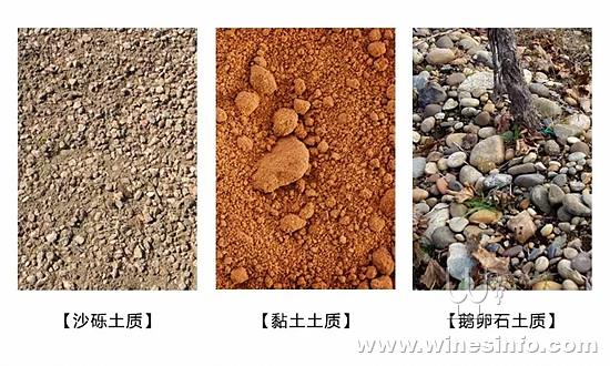 泥土种类图片