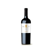 Casa Carsten Premium Carmenere Maipo Valley 2014