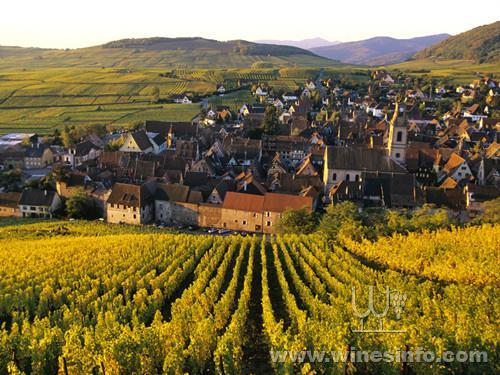 World___France_City_of_vineyards_in_Alsace__France_073426_-1024x768.jpg