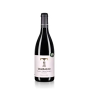 tambaleo cabinet sauvignon