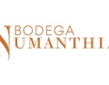 尤玛西雅酒庄 Bodega Numanthia