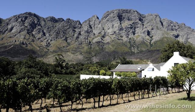 140108143035-south-african-vineyard-franschoek-horizontal-large-gallery.jpg