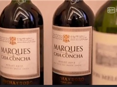 华润万家干露集团葡萄酒品鉴晚宴