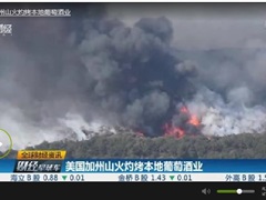 美国加州山火灼烤本地葡萄酒业