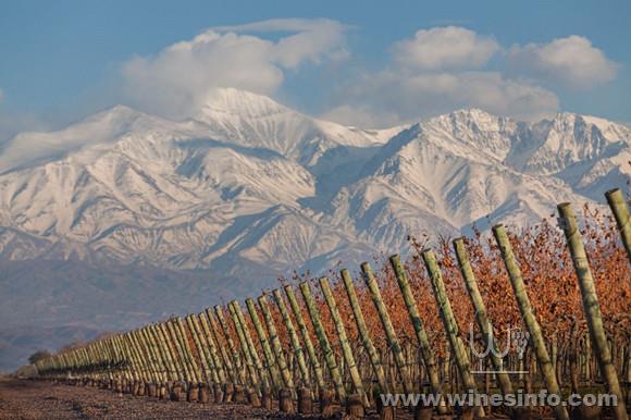 Finca-Decero-Remolinos-Vineyard-3500-ft-Agrelo-Mendoza-Argentina-2-1-1-e1533668446460.jpg