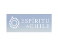 智利精神酒业 Espiritu De Chile