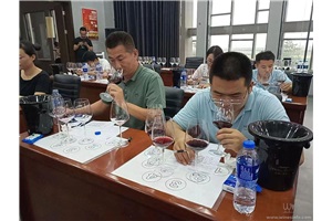 点击查看全图