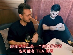 Wine Faults到底有哪些？