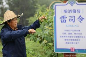 点击查看全图