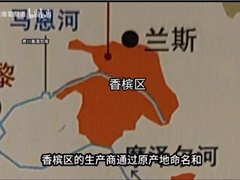 法国香槟区是传统、高贵的葡萄酒之乡