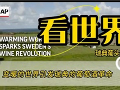 变暖的世界引发瑞典的葡萄酒革命