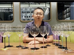 Riedel 侍酒师系列手工杯