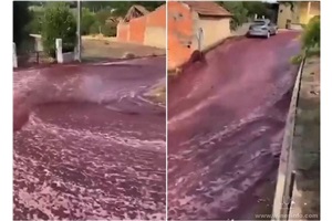 点击查看全图