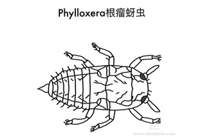 点击查看全图