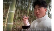 把葡萄酒注射进竹子里一个月后发生什么？