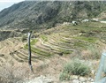 得荣县打造高山峡谷间川酒“新名片”