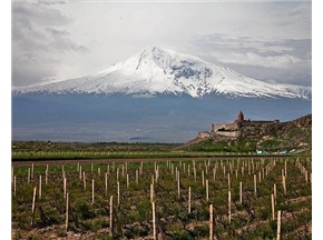 第八届世界葡萄酒旅游大会将在亚美尼亚举行