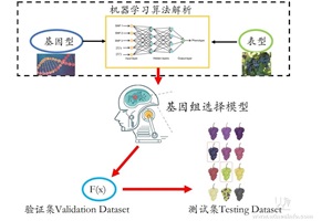点击查看全图