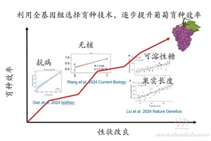 点击查看全图
