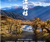 最佳西南高山葡萄酒”产地——江坡村