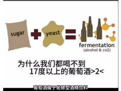 为什么我们都喝不到17度以上的葡萄酒