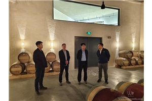 点击查看全图