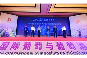 点击查看全图
