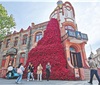 烟台推动葡萄酒与文化旅游融合发展