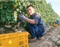 远山：一生能有几款自己满意的作品已经实属幸运