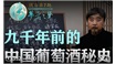 九千年前的中国葡萄酒秘史