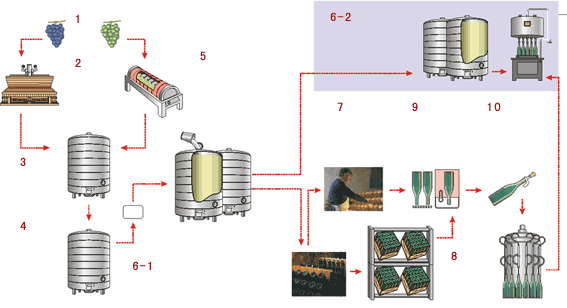 各種葡萄酒釀造工藝過程