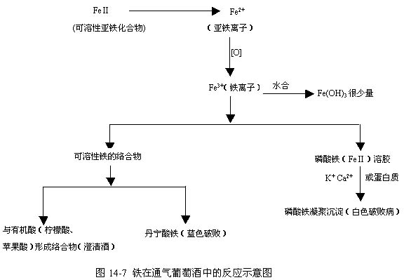 葡萄酒化學之葡萄酒膠體化學