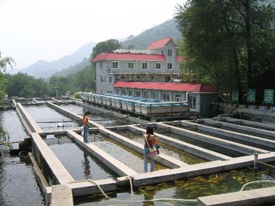 北京顺通虹鳟鱼度假村图片